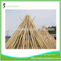 Supply Bamboo Poles at Cheap Price